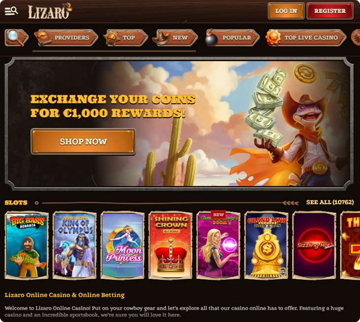 Introduction to lizaro
